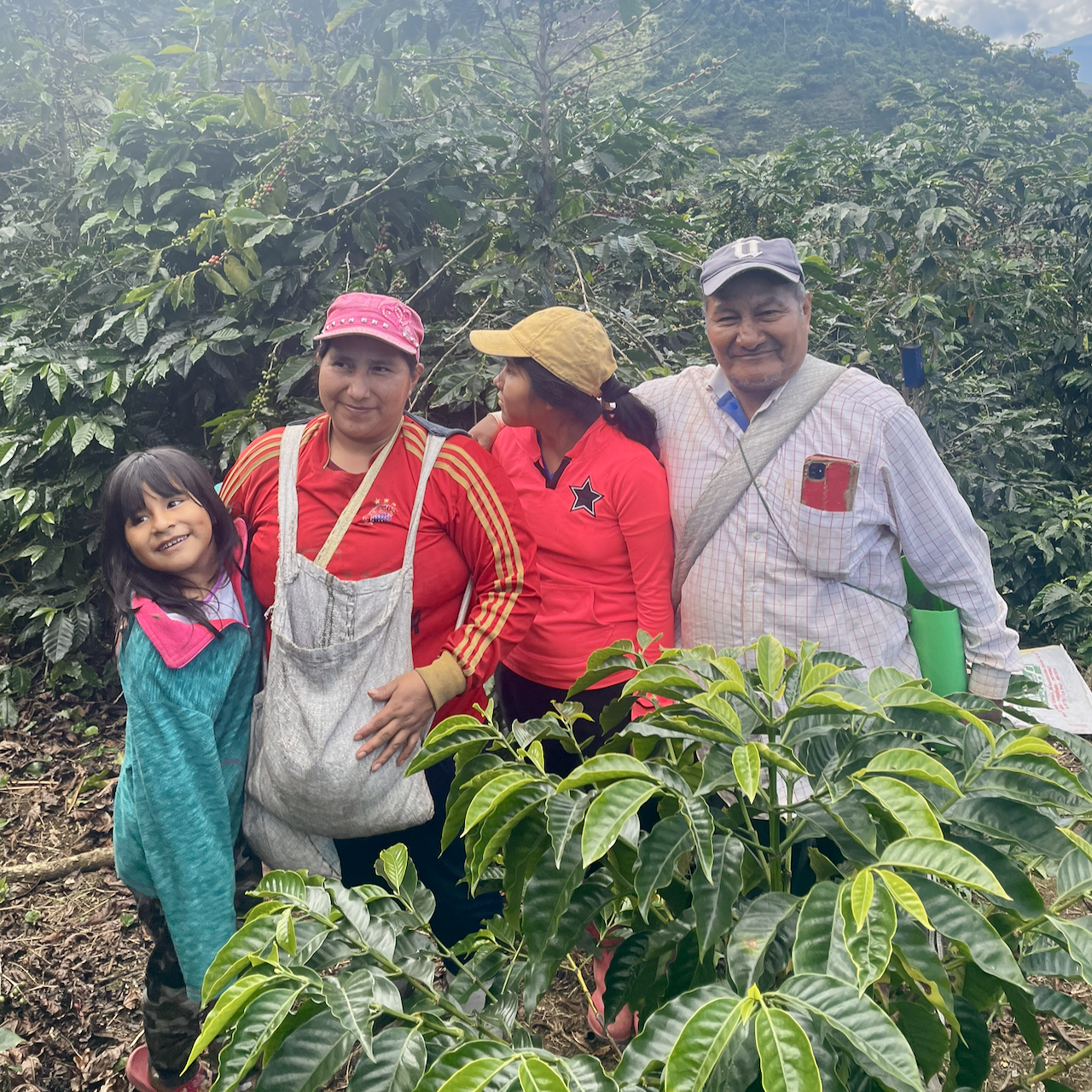916 - Bolivia: Gregorio & Nancy Palli, Mosto Fermented Washed