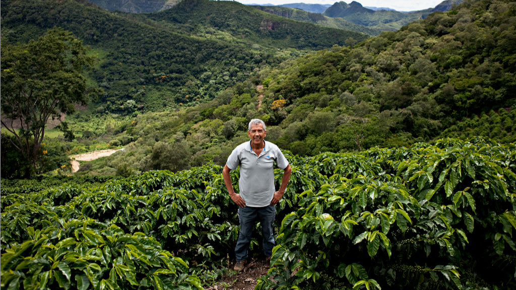 Pedro Rodriguez at Finca Floripondio