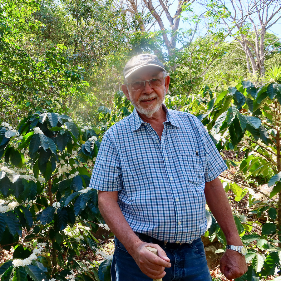 El Salvador: Finca Argentina, Bourbon, Honey - Ozone Coffee Roasters