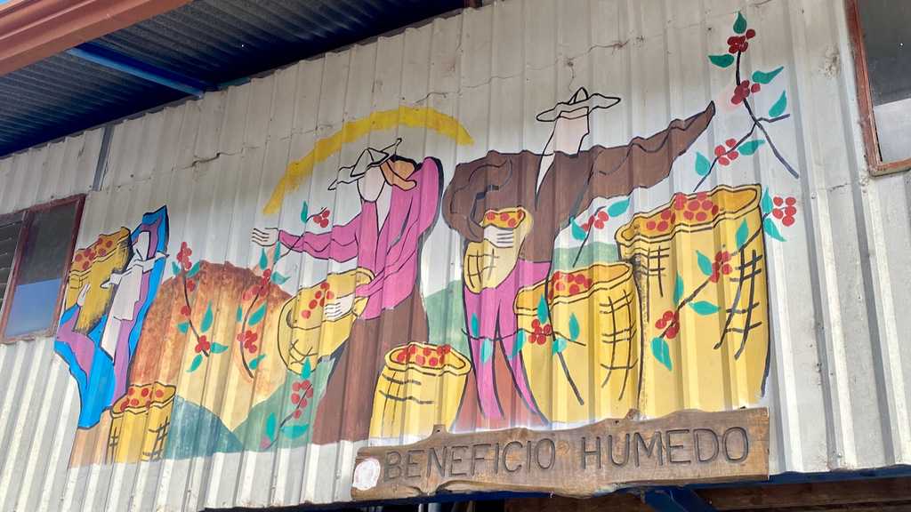Painted signage on the outside of the Don Mayo micromill in Tarrazu, Costa Rica