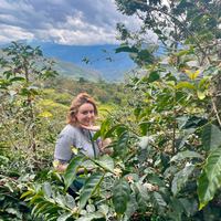 Ozone Training & Development Manager Rose Nicholson amongst coffee trees when visiting El Cedro in Cajamarca, Peru