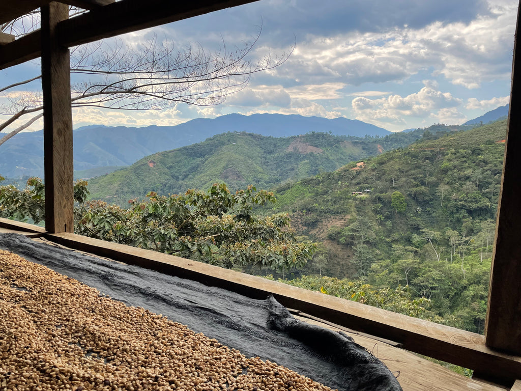 La Colpa, San Ignacio, Peru | Hasbean.co.uk