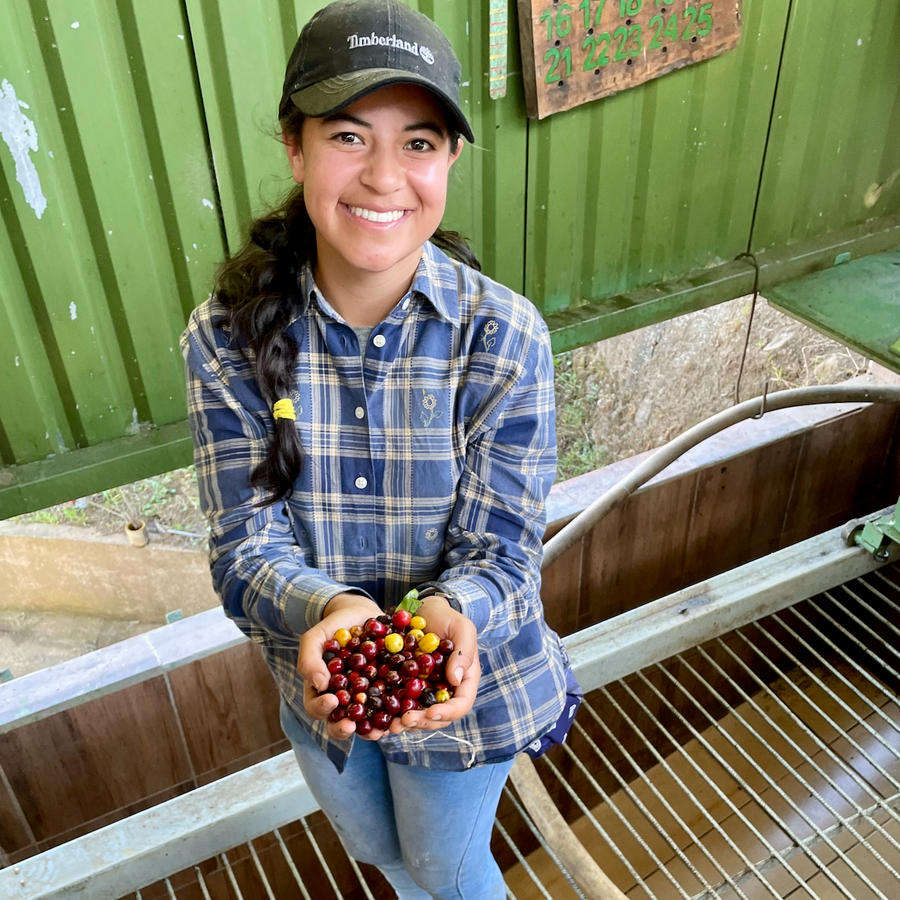 Joyce Calderón with freshly harvested coffee cherries at Micro-Beneficio Granitos de Altura del Ortiz in Costa Rica