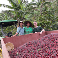 Allan Oviedo, his son Nacho, and Ozone Head of eCommerce Chris Glover-Price with freshly harvested coffee cherries from Finca Carmela in Costa Rica