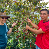 Ozone Green Buyer Roland Glew and Einer Saldivar pose together with ripe coffee cherries still on the tree at El Cedro in Cajamarca, Peru