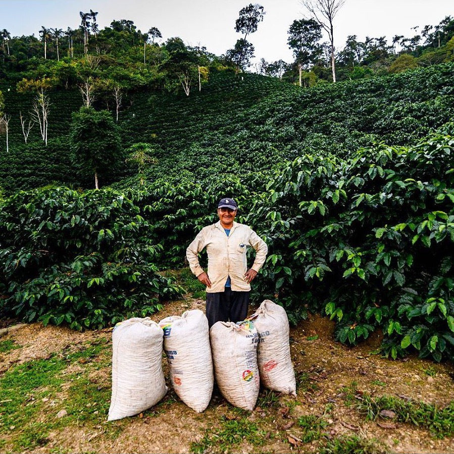 Gregorio Palli Mamani with sacks of his coffee at Volcán del Tigre