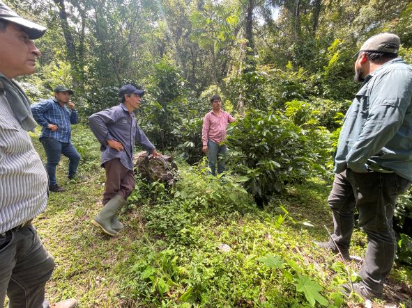 La Alondra, Francisco Morazán, Honduras | Hasbean.co.uk